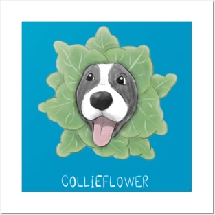 Collieflower Posters and Art